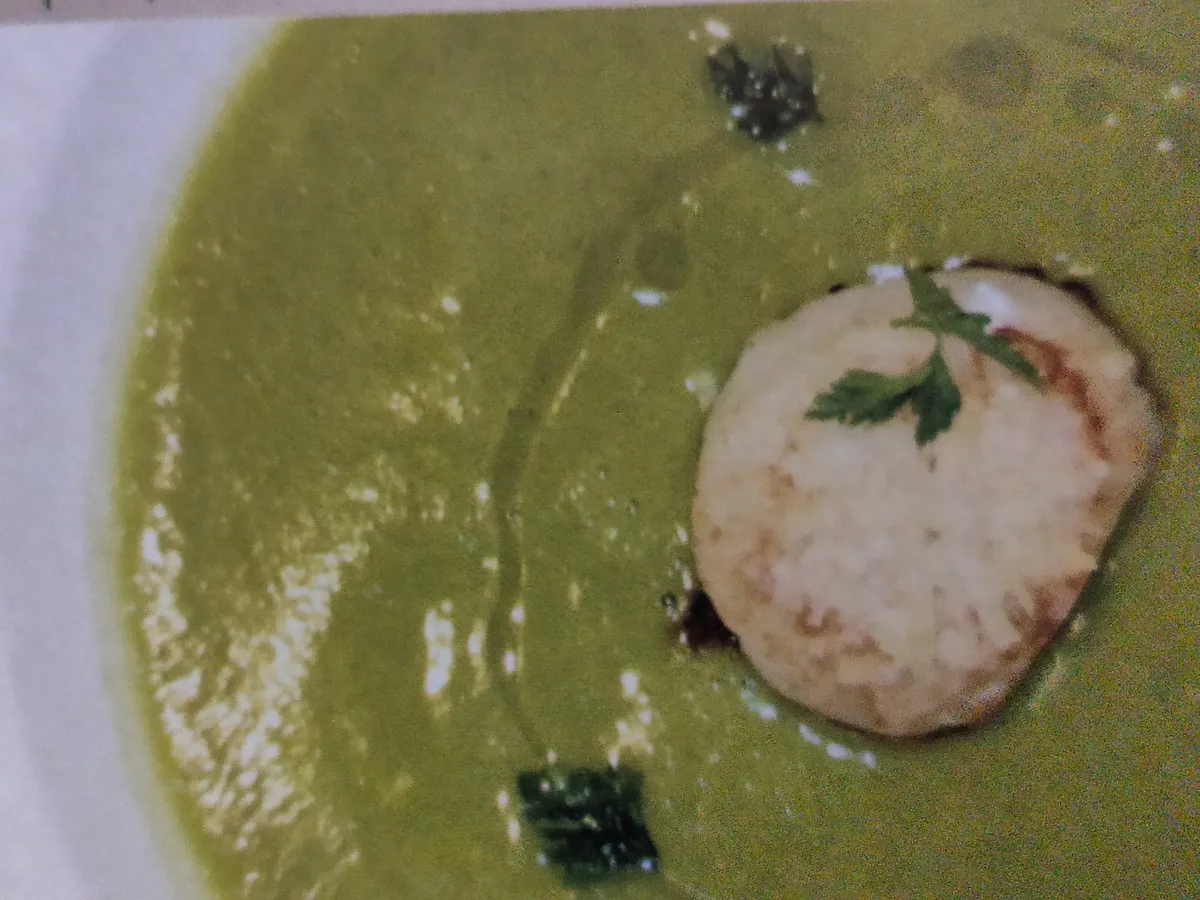 Creme de curgetes com vieira salteada e parmesão
